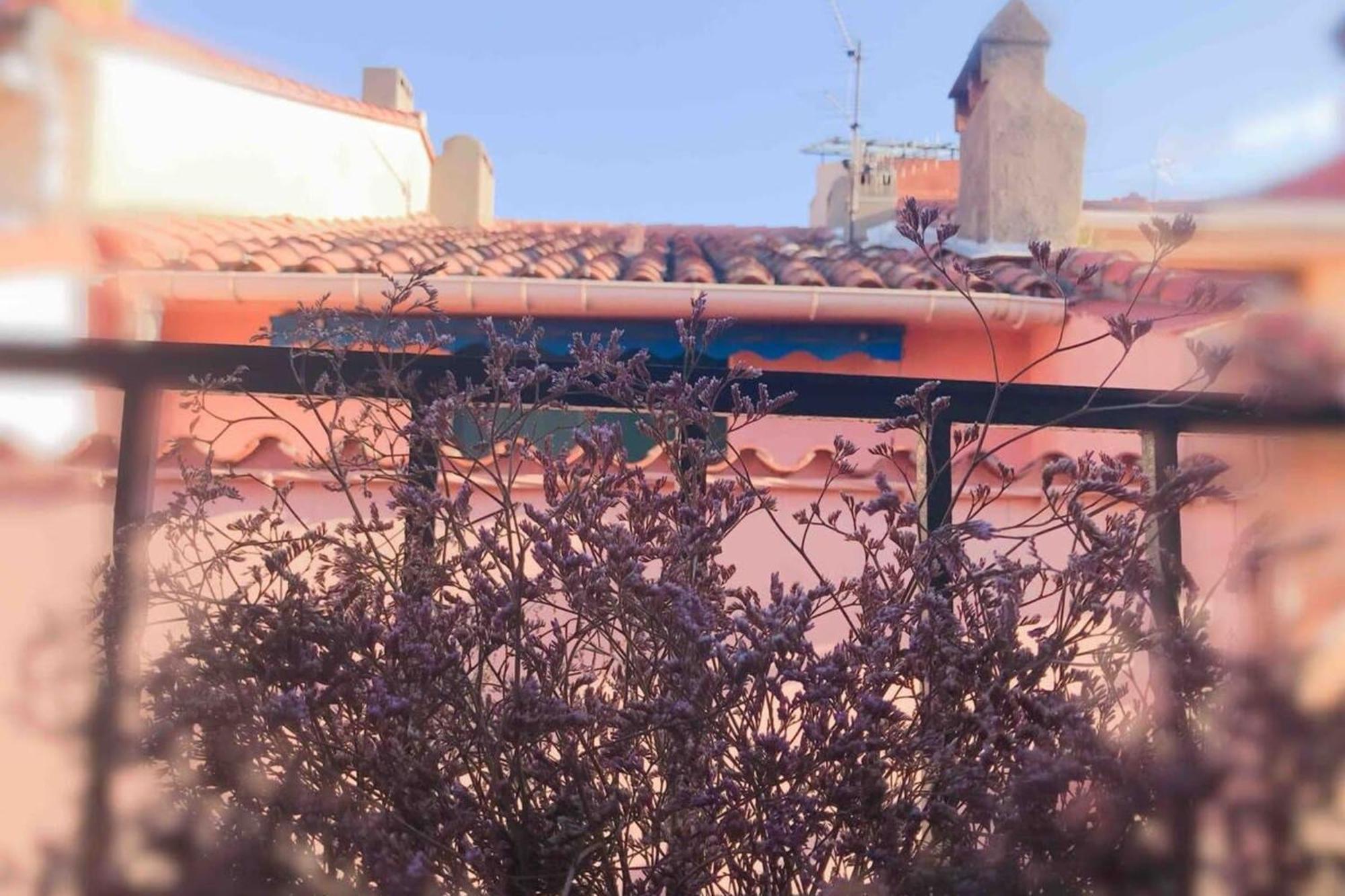 Residence St Vincent Collioure Buitenkant foto